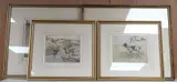 Springer Spaniel by Henry Wilkinson, pencil, sold Aug 2026