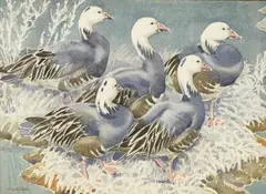 Blue Geese by Noel William Cusa, watercolour, sold Aug 2026
