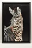 Zebra by Gina Hawkshaw, oil on canvas, sold Aug 2026