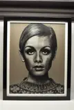 Twiggy by Pete Humphreys, oil on canvas, sold Aug 2026