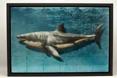 King of the ocean by Nick O'Neill, mixed media, sold Aug 2026