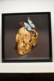 Butterfly kiss by Rory Hancock, print, sold Jul 2026