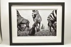 Onward by Anup Shah, print, sold Jul 2026