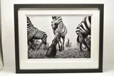 Onward by Anup Shah, print, sold Jul 2026