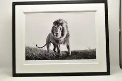 Hunter by Anup Shah, print, sold Jun 2026