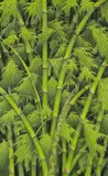 Untitled by Piace Arsana, Oil on canvas, sold Jun 2026