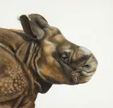 Untitled by Matthew Hillier, Watercolour, sold Jun 2026