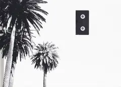 Untitled (Palm and Videotapes) by Matias Faldbakken, 2005, photograph, sold Oct 2026