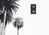 Untitled (Palm and Videotapes) by Matias Faldbakken, 2005, photograph, sold Oct 2026