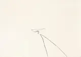 Uten tittel by Jan Groth, drawing, sold Oct 2026