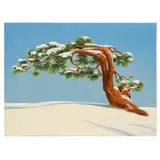 Untitled by Frank Follmer, oil on canvasboard, Jeffrey Pine, Yosemite, circa 1930's, offered Aug 2023