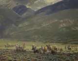 Indian Rabbit Hunt - Taos Pueblo by Julian Robles, oil on board, sold Feb 2019