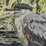 Immature Great Blue Heron by Neil Welliver, etching with aquatint, sold Feb 2019