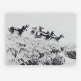 Antelope by Carl Rungius, etching and dry point, sold Jul 2019