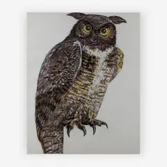 Owl by Don Nice, 1973, etching and aquatint, sold Jul 2019