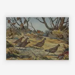 Quails by William J. Schaldach, watercolor, sold Jul 2019