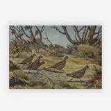 Quails by William J. Schaldach, watercolor, sold Jul 2019