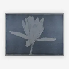 Lily for Mathew by Joseph Raffael, 1980, lithograph, sold Jul 2019