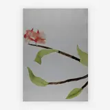 Vermillion Clair Orchid by Ed Baynard, 1980, aquatint and watercolor on arches paper, sold Jul 2019