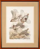 Perdreaux by Francis Berille, 1981, Lithographie signée, sold Apr 2026
