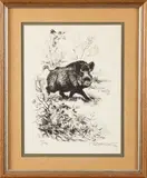 Sanglier et geai by Francis Berille, 1980, Lithographie signée, sold Apr 2026