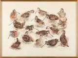 Bécasses by Francis Berille, 1979, Lithographie réhaussée signée et numérotée, sold Apr 2026
