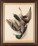 Trophée de canard colvert by André Wilquin, 1937, Aquarelle signée et datée en bas à gauche, sold Apr 2026