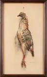 Trophée de perdreau by André Wilquin, Aquarelle sur papier signée en bas à droite, sold Apr 2026