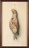 Trophée de perdreau by André Wilquin, Aquarelle sur papier signée en bas à droite, sold Apr 2026