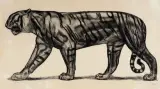 Tigre by Paul Jouve, Lithographie, sold Jun 2026