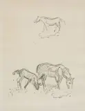 Étude de chevaux by Othon Friesz, Crayon sur papier, sold Jun 2023