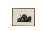 Picasso aux arènes de Fréjus by Lucien Clergue, 1962, Photographie signée en bas à droite Contresignée, sold Mar 2024