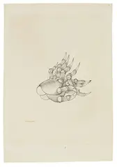 Les mains de Françoise Luchaire» by Hans Bellmer, vers 1950, Crayon et encre sur papier, sold Jun 2026