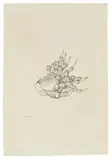 Les mains de Françoise Luchaire» by Hans Bellmer, vers 1950, Crayon et encre sur papier, sold Jun 2026