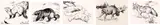 Five works: Marten (#00054), Wolverine (#00056), Arctic Fox (#00066), Moose (#00061), Coyote (#00058) by Clarence Ingwall Tillenius, ink on paper, sold Feb 2026