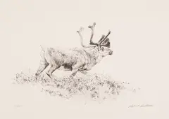 Woodland Caribou (00340) by Robert Bateman, lithograph on paper, sold Jan 2026