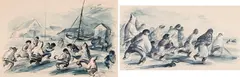 Shiptime at Sugluk / Football at Lake Harbour (two works) (00286, 00287) by John August Groth, watercolour on paper, sold Jan 2026