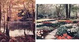 Misty Autumn Morning, Muskoka / Tulip Garden (00823 / 00824) by Norman Piluke, chromogenic print, sold Jan 2026