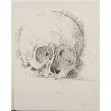 Vanité pointilliste by Dora Maar, Encre de Chine sur papier, sold Mar 2017
