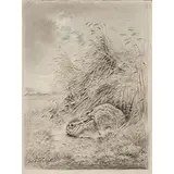 Jeune lièvre tapi au pied d'une gerbe de blé by Xavier de Poret, Mine de plomb et crayon de couleur sur papier, sold Mar 2017