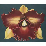 Red and Yellow Orchid by Lowell Nesbitt, 1975, Huile sur toile, sold Mar 2017