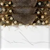 Abstract Assemblage by Akiko Sugiyama, Mixed media in plexiglass, offered May 2023