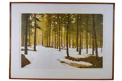 First Light by Stephen McMillan, Serigraph, offered Jun 2021