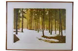 First Light by Stephen McMillan, Serigraph, offered Jun 2021