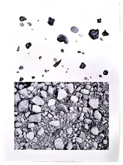 Earth Series 1 by Alan Sonfist, Lithograph, offered Apr 2021