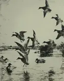 Untitled by Frank Weston Benson, etching on paper "In Island Pond", sold Oct 2018