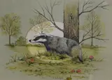 Badger by Janet Pulford, Watercolour, offered Aug 2026