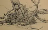 The Bush is Alive by Tex Moeckel, drawing, offered Aug 2026