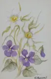 Untitled by Rosemary J Balcer, watercolor, offered Jul 2026