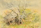 Blackthorn by Judy Evans, Mixed media, offered Jun 2026